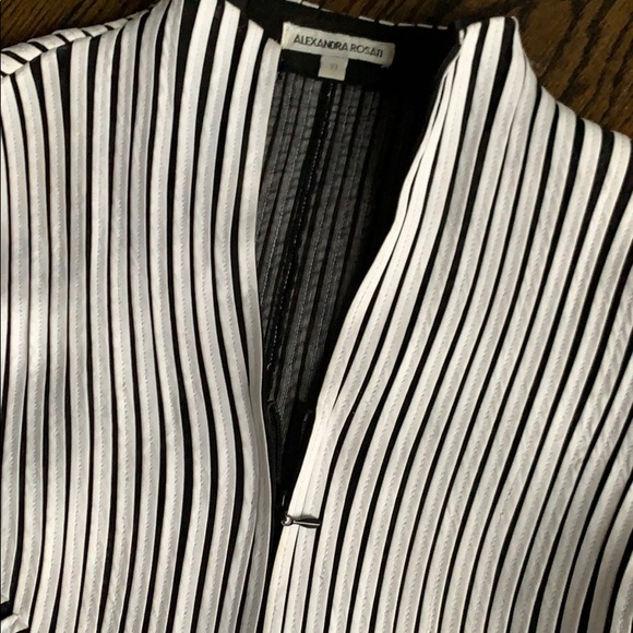 Alexandra Rosati runway blazer plunging V neck - Picture 5 of 6